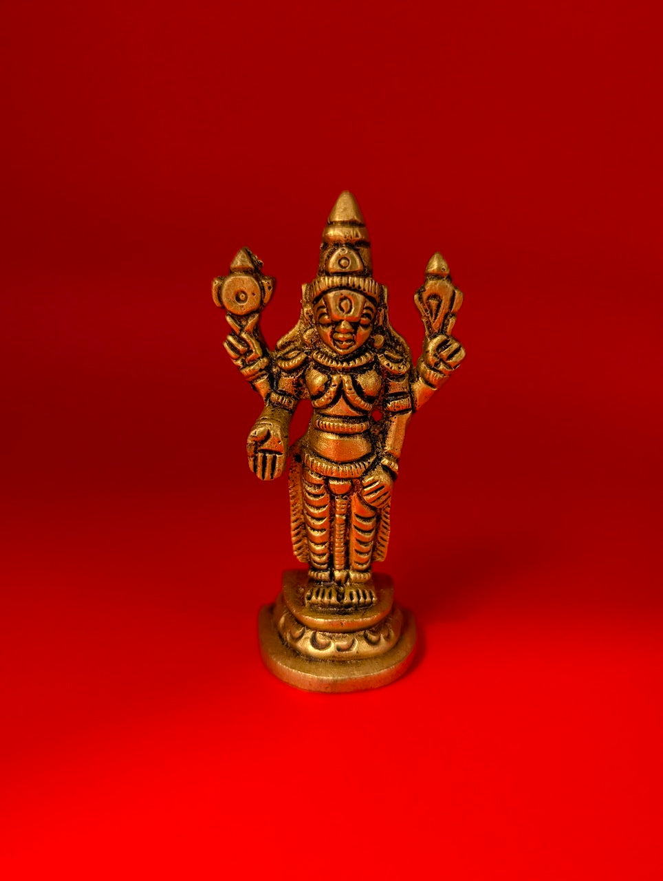 Vishnu Mini