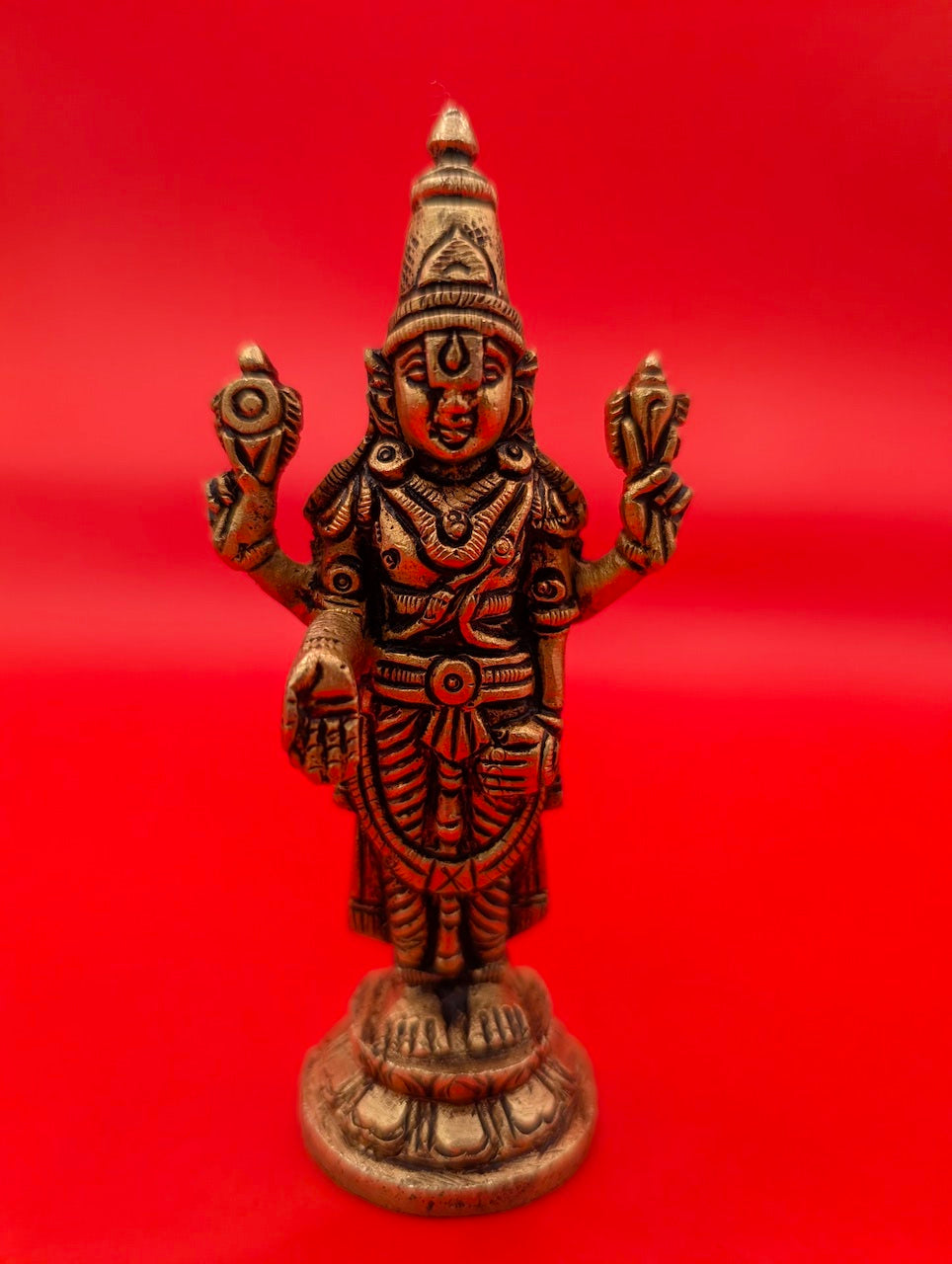 Vishnu Mini 0.195kg
