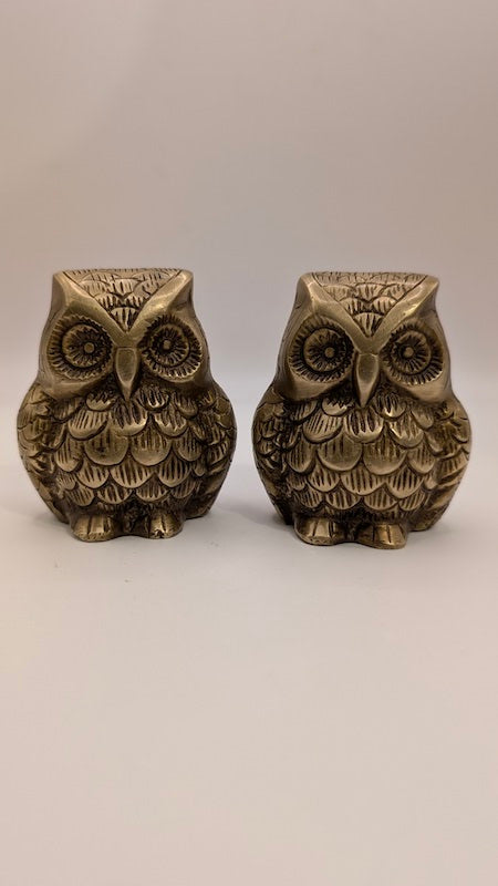 Pair of Owl